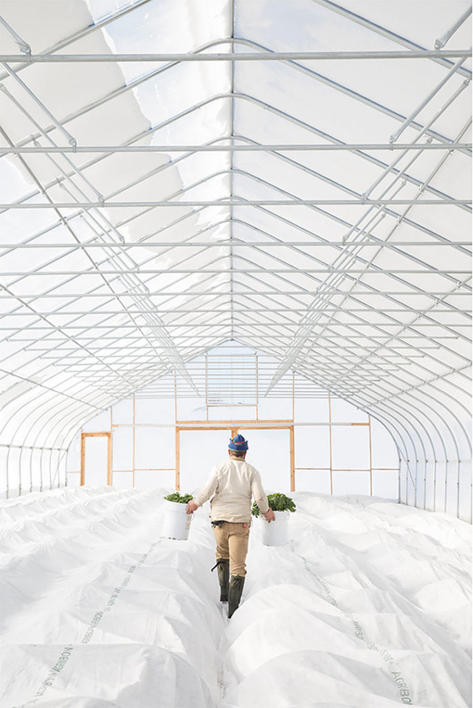 Creative photograph with natural framing of the back of a man in dark boots walking away from the camera, carrying plants in buckets in a grow house.