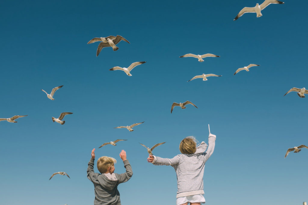 A flock of seagulls flying over two happy kids throwing their arms up into clear blue skies. Photographer: Summer Murdock.
